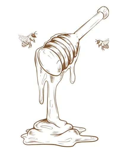 03_xeneros Dibujo de un palo recogiendo miel